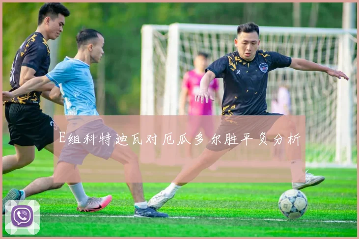 E组科特迪瓦对厄瓜多尔胜平负分析