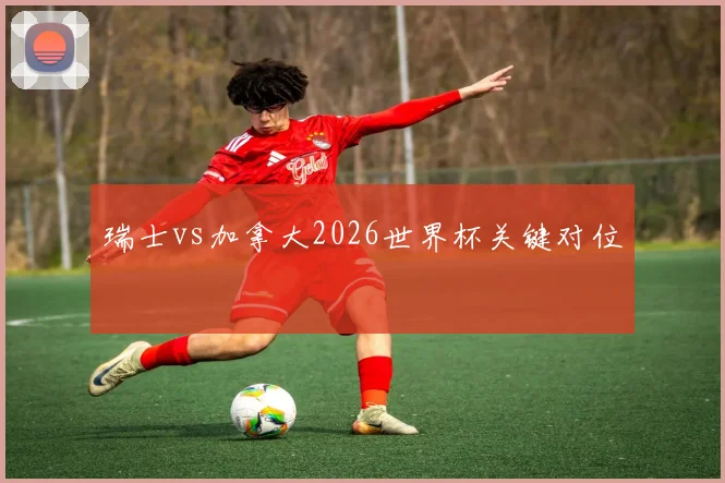瑞士vs加拿大2026世界杯关键对位