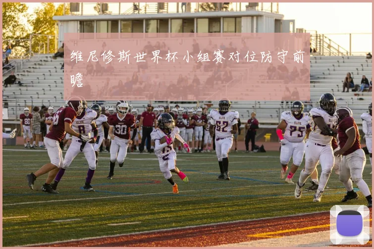 维尼修斯世界杯小组赛对位防守前瞻