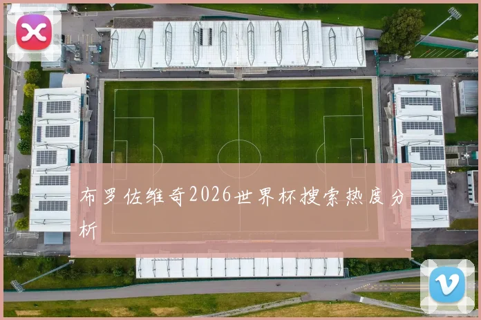 布罗佐维奇2026世界杯搜索热度分析