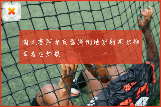 淘汰赛阿尔瓦雷斯倒地铲射塞尔维亚看台炸裂