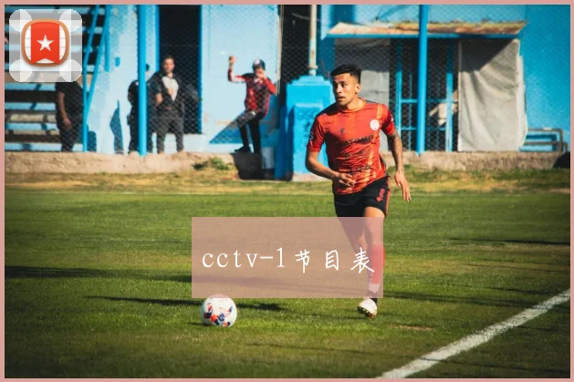 cctv-1节目表
