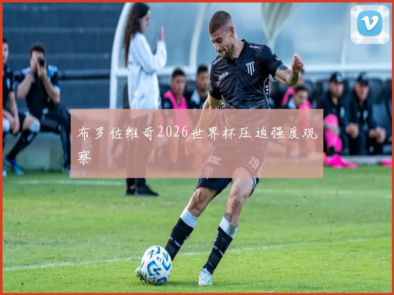 布罗佐维奇2026世界杯压迫强度观察
