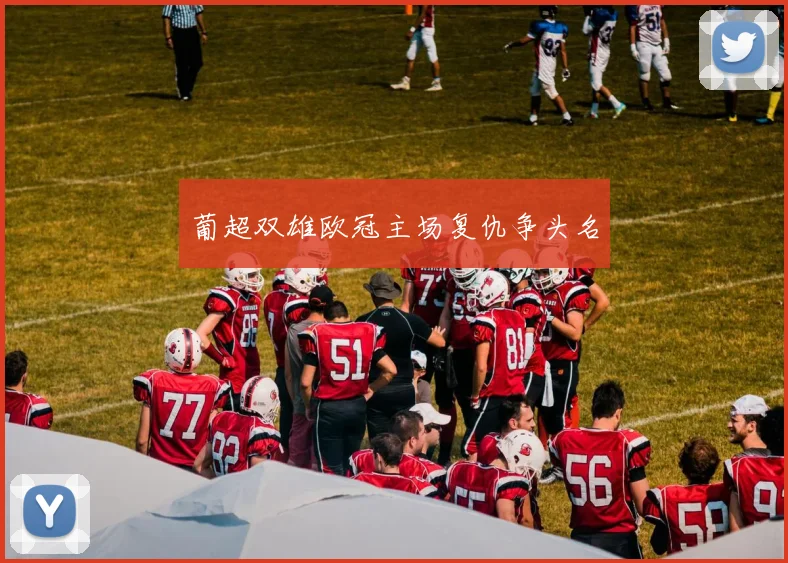 葡超双雄欧冠主场复仇争头名