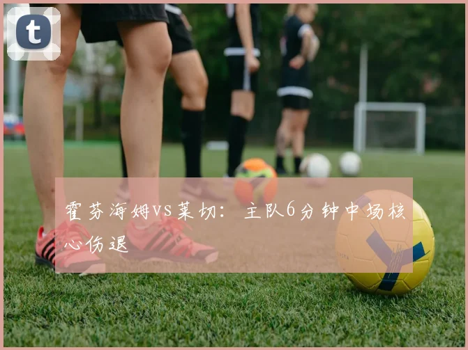 霍芬海姆vs莱切:主队6分钟中场核心伤退