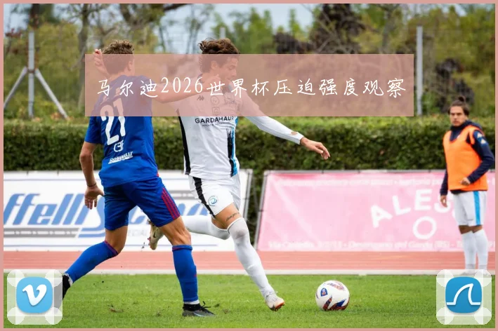 马尔迪2026世界杯压迫强度观察