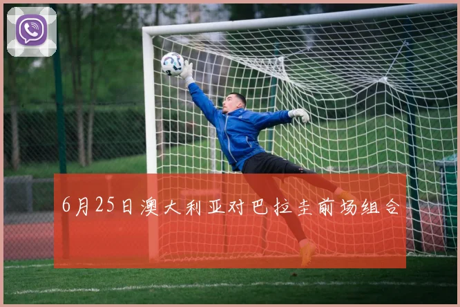 6月25日澳大利亚对巴拉圭前场组合