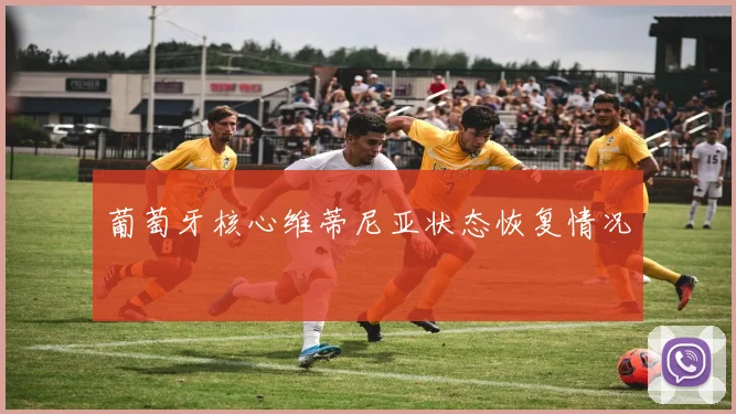 葡萄牙核心维蒂尼亚状态恢复情况