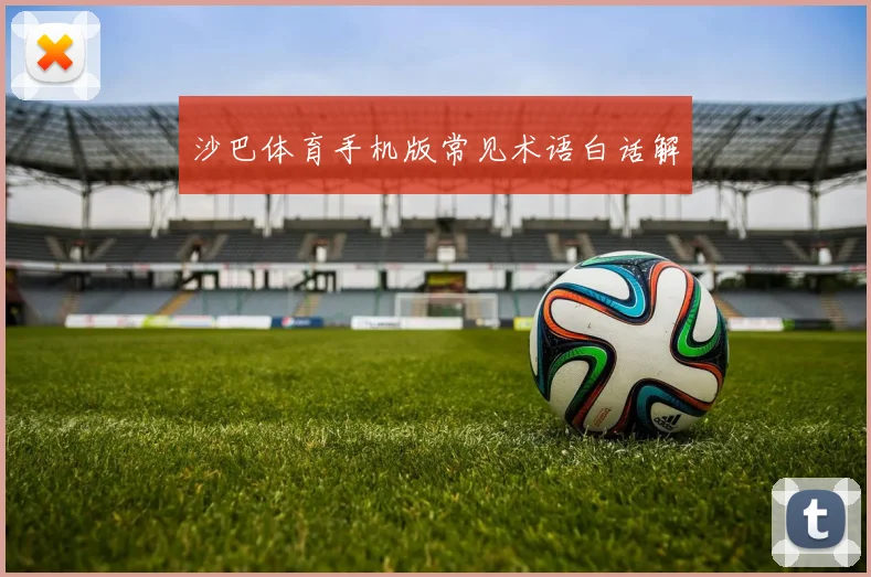 沙巴体育手机版常见术语白话解