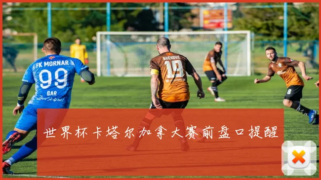 世界杯卡塔尔加拿大赛前盘口提醒